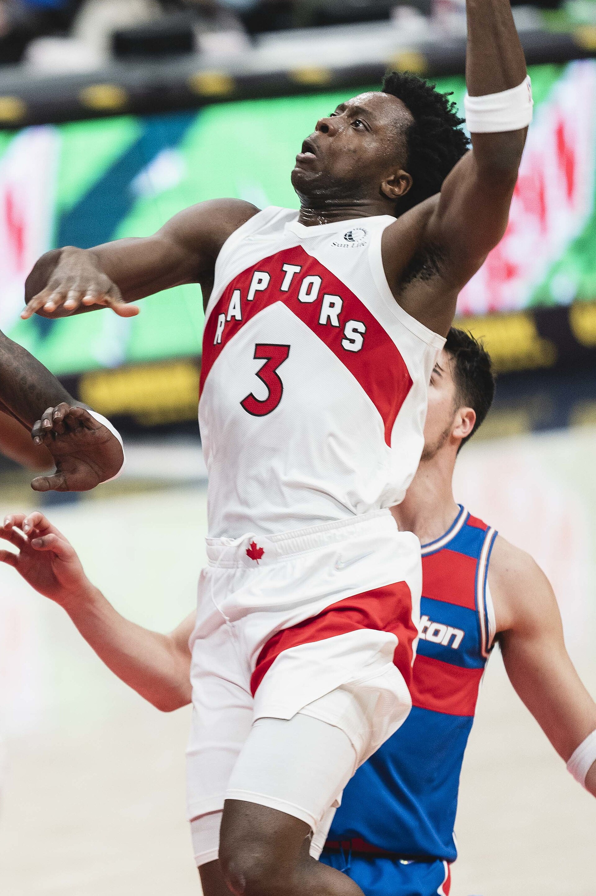 OG Anunoby portrait